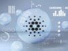 Cardano NFT Marketplaces