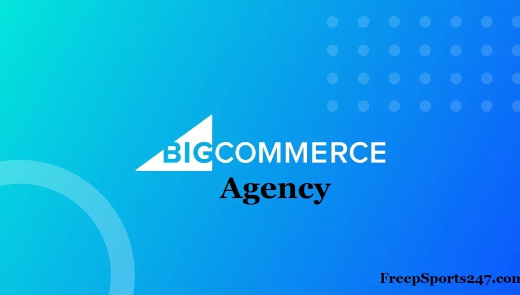 Bigcommerce Agency